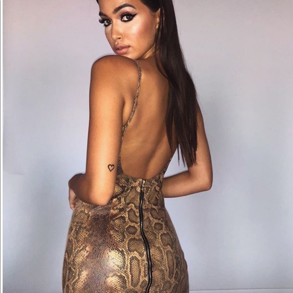 Meshki Low Back Snake Dress